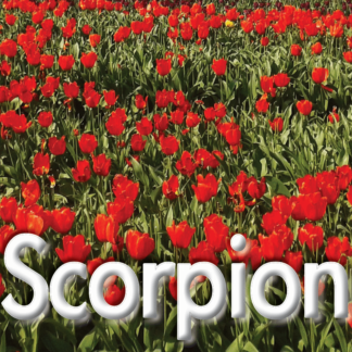 Scorpion mars 2023