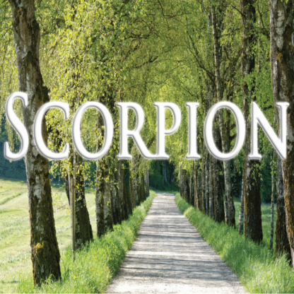 Scorpion juin 2023