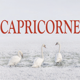 Capricorne ~ Hors série - Projection 2023 partie 2