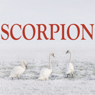 Scorpion ~ Hors série – Projection 2023 partie 2