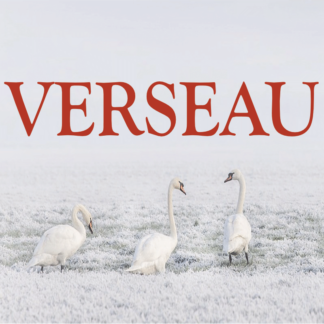 Verseau ~ Hors série - Projection 2023 partie 2