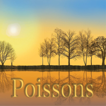 Poissons novembre 2023