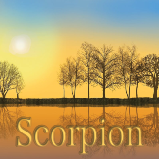 Scorpion novembre 2023