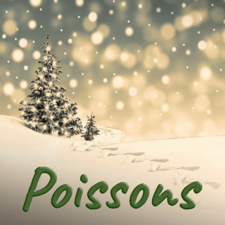 Poissons décembre 2023