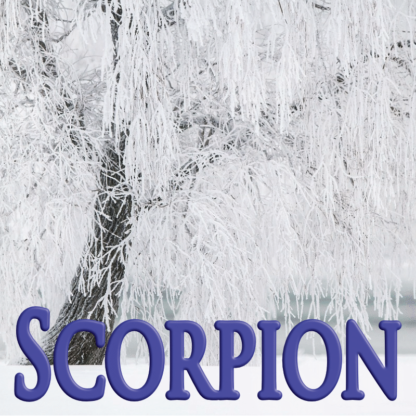 Scorpion janvier 2024